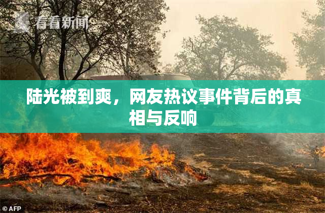 陆光被到爽，网友热议事件背后的真相与反响
