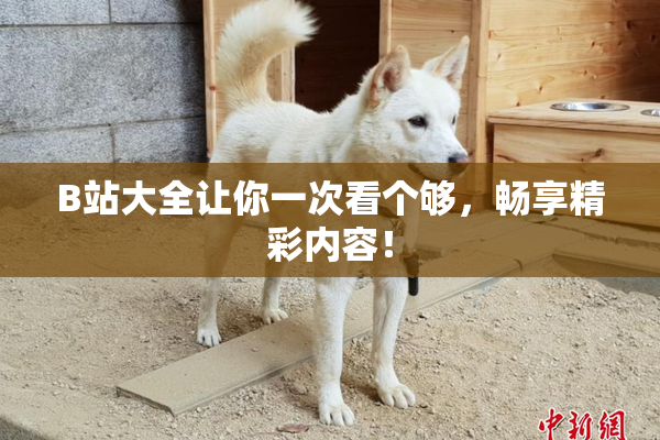 B站大全让你一次看个够，畅享精彩内容！