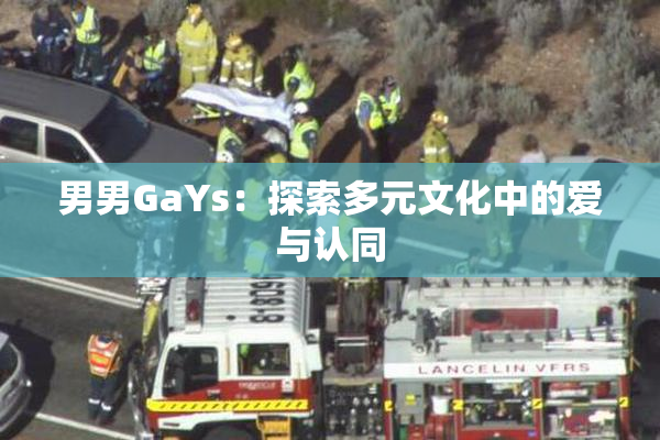 男男GaYs：探索多元文化中的爱与认同