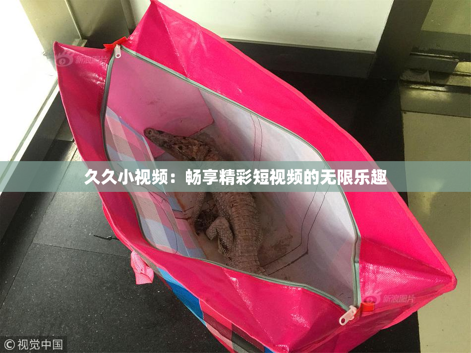 久久小视频：畅享精彩短视频的无限乐趣