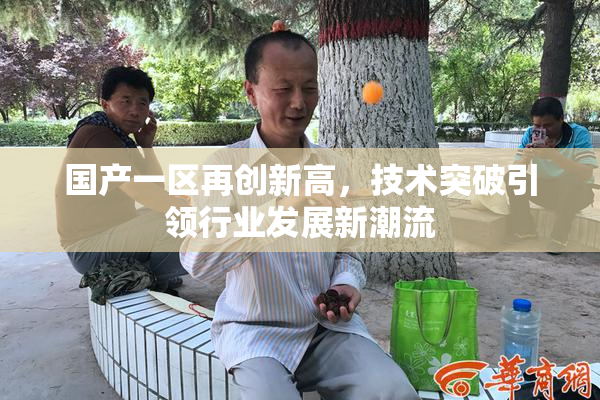 国产一区再创新高，技术突破引领行业发展新潮流