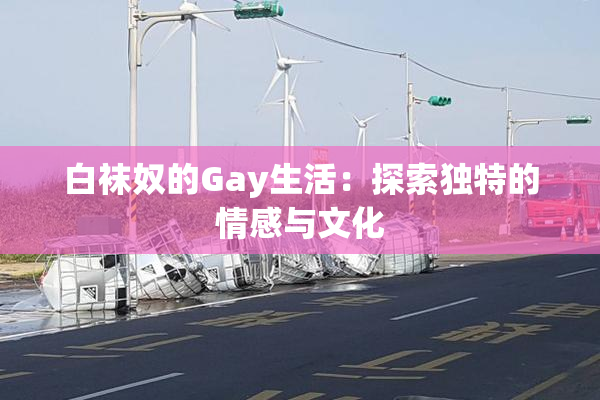 白袜奴的Gay生活：探索独特的情感与文化