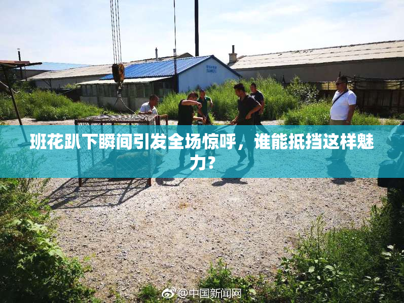 班花趴下瞬间引发全场惊呼，谁能抵挡这样魅力？