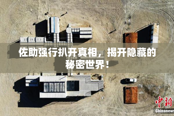 佐助强行扒开真相，揭开隐藏的秘密世界！