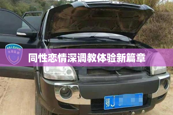同性恋情深调教体验新篇章