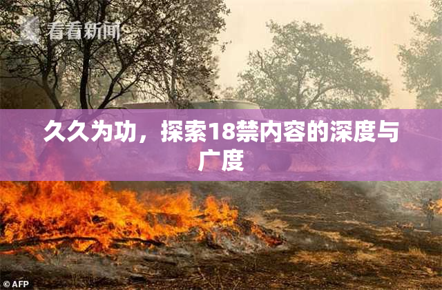 久久为功，探索18禁内容的深度与广度