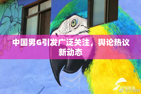 中国男G引发广泛关注，舆论热议新动态