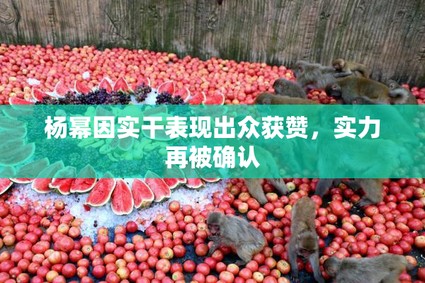 杨幂因实干表现出众获赞，实力再被确认