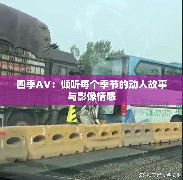四季AV：倾听每个季节的动人故事与影像情感