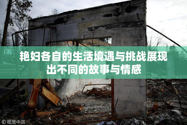 艳妇各自的生活境遇与挑战展现出不同的故事与情感