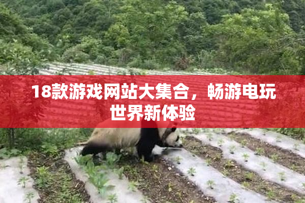 18款游戏网站大集合，畅游电玩世界新体验