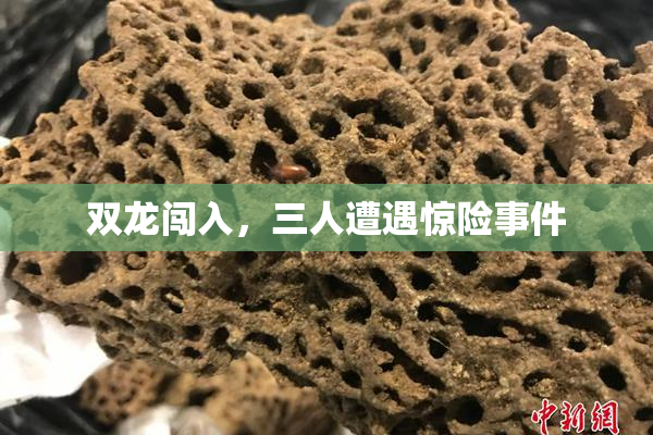 双龙闯入，三人遭遇惊险事件