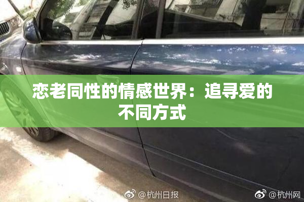 恋老同性的情感世界：追寻爱的不同方式