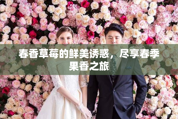 春香草莓的鲜美诱惑，尽享春季果香之旅