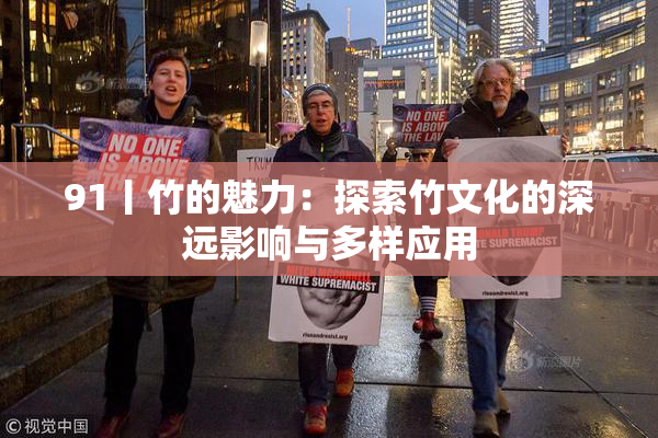 91丨竹的魅力：探索竹文化的深远影响与多样应用