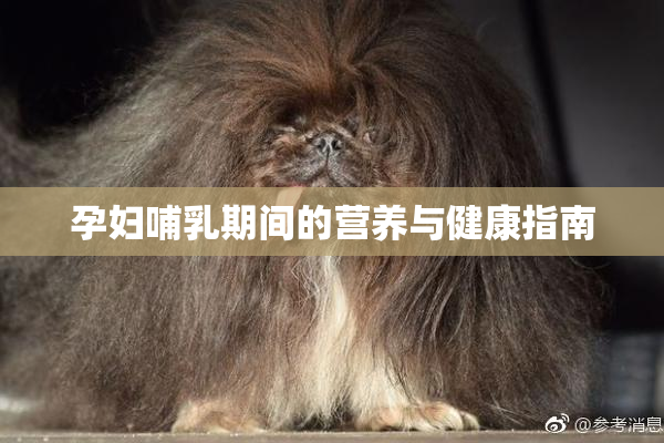 孕妇哺乳期间的营养与健康指南