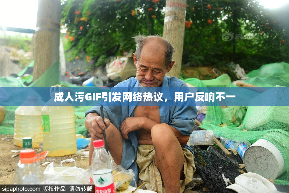 成人污GIF引发网络热议，用户反响不一