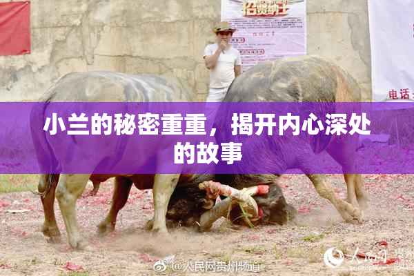 小兰的秘密重重，揭开内心深处的故事