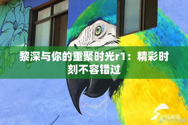 黎深与你的重聚时光r1：精彩时刻不容错过