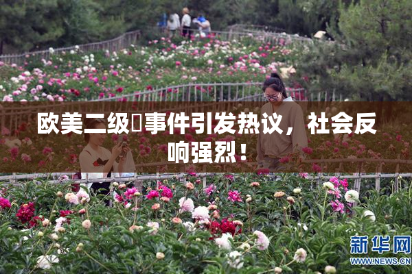 欧美二级婬事件引发热议，社会反响强烈！