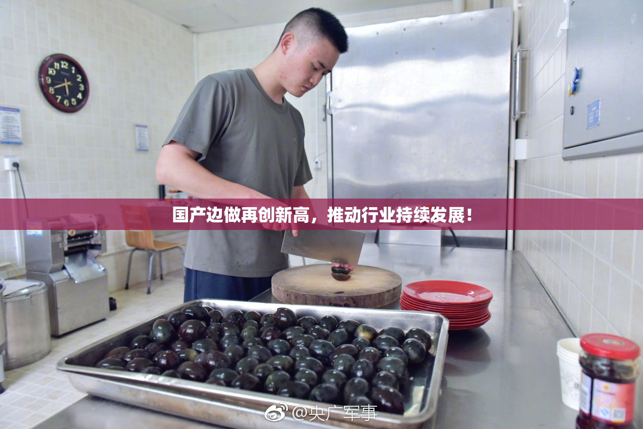 国产边做再创新高，推动行业持续发展！