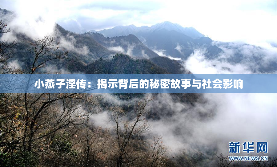小燕子淫传：揭示背后的秘密故事与社会影响
