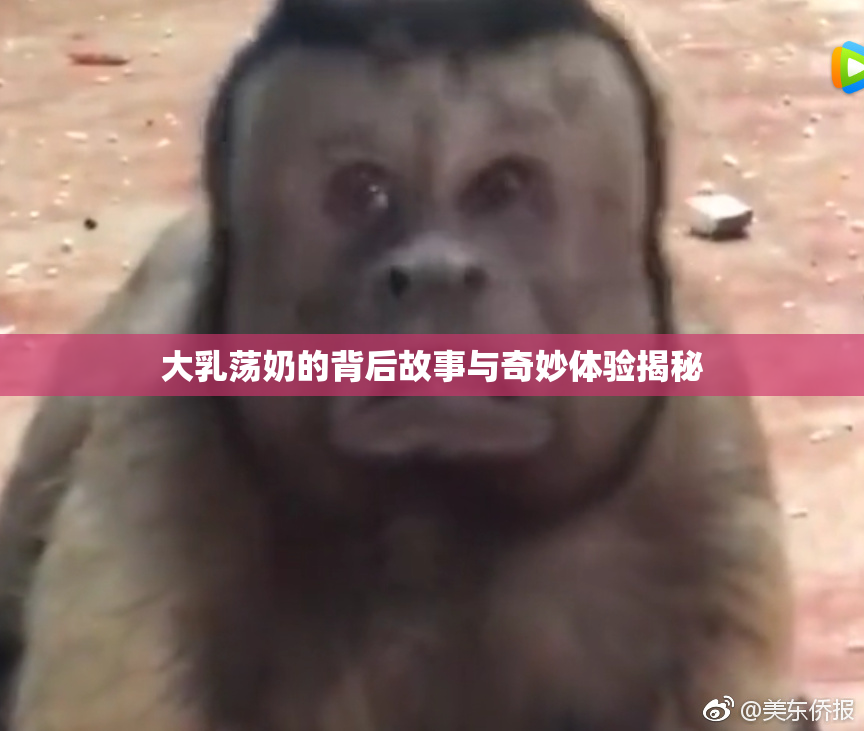 大乳荡奶的背后故事与奇妙体验揭秘