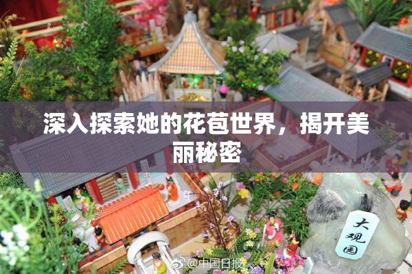 深入探索她的花苞世界，揭开美丽秘密