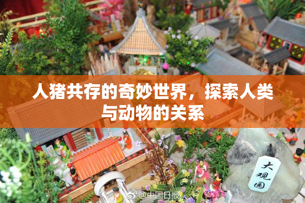 人猪共存的奇妙世界，探索人类与动物的关系