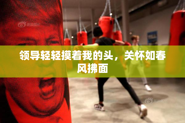 领导轻轻摸着我的头，关怀如春风拂面