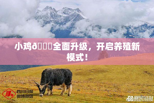 小鸡🐔全面升级，开启养殖新模式！