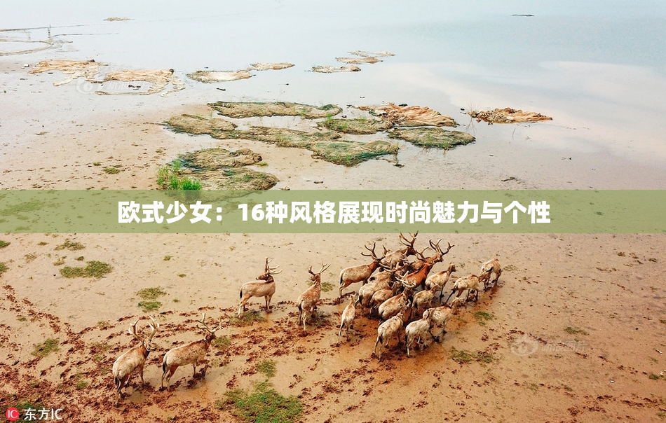 欧式少女：16种风格展现时尚魅力与个性
