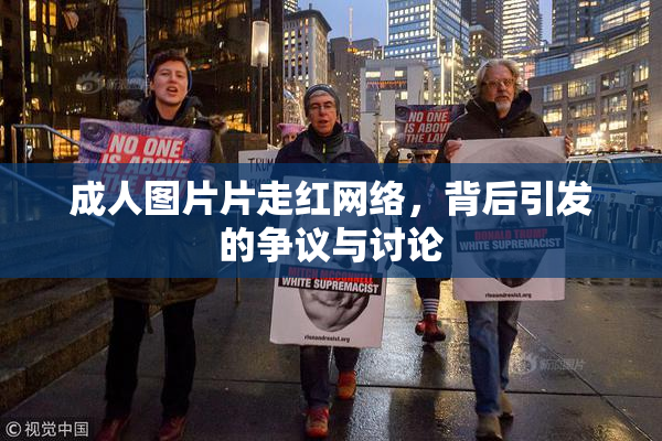 成人图片片走红网络，背后引发的争议与讨论