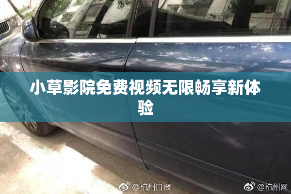 小草影院免费视频无限畅享新体验
