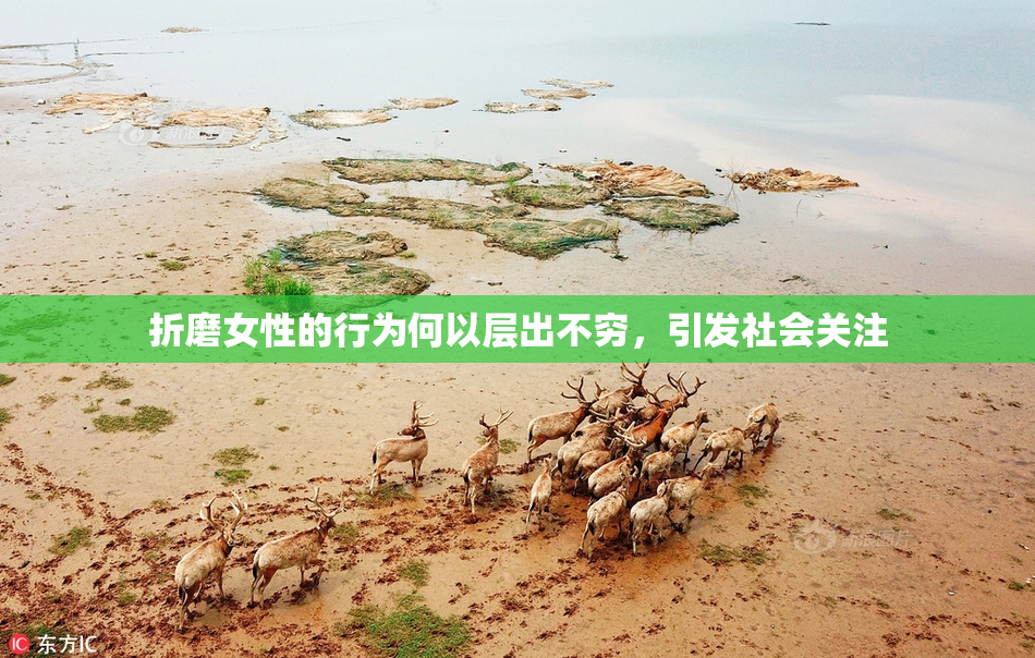 折磨女性的行为何以层出不穷，引发社会关注