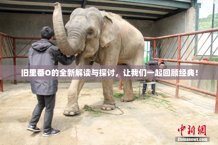 旧里番O的全新解读与探讨，让我们一起回顾经典！