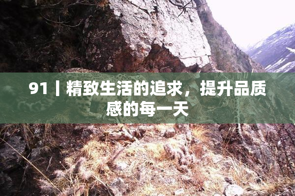 91丨精致生活的追求，提升品质感的每一天