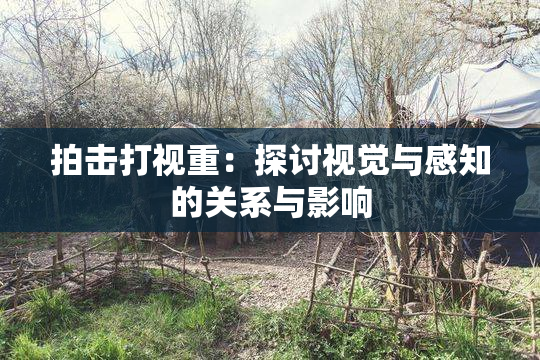 拍击打视重：探讨视觉与感知的关系与影响