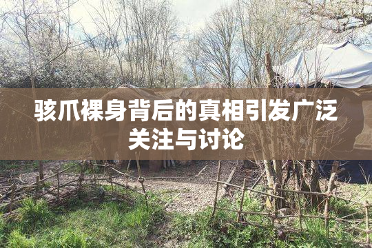 骇爪裸身背后的真相引发广泛关注与讨论