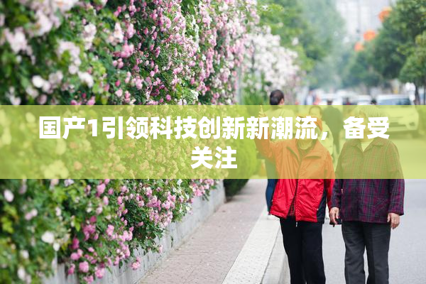 国产1引领科技创新新潮流，备受关注