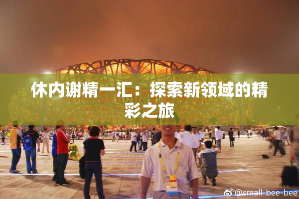休内谢精一汇：探索新领域的精彩之旅
