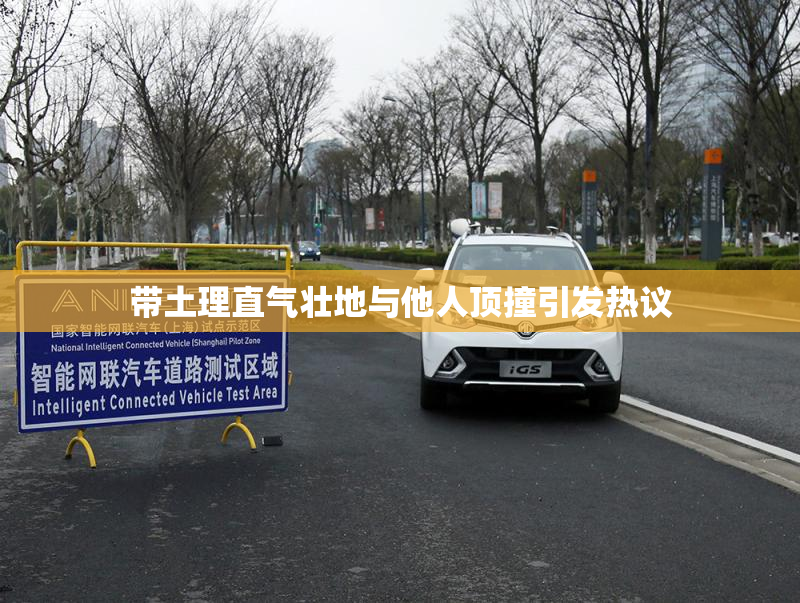 带土理直气壮地与他人顶撞引发热议