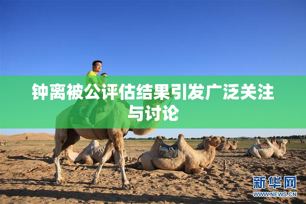 钟离被公评估结果引发广泛关注与讨论