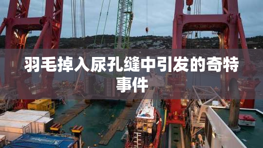 羽毛掉入尿孔缝中引发的奇特事件