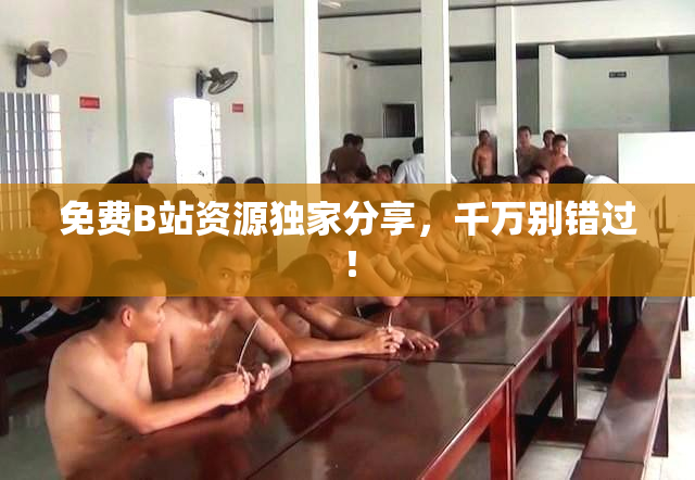 免费B站资源独家分享，千万别错过！