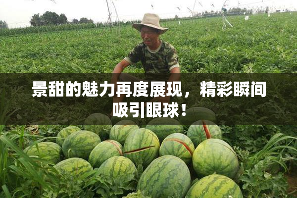景甜的魅力再度展现，精彩瞬间吸引眼球！