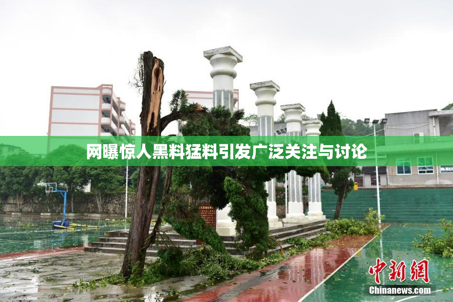 网曝惊人黑料猛料引发广泛关注与讨论