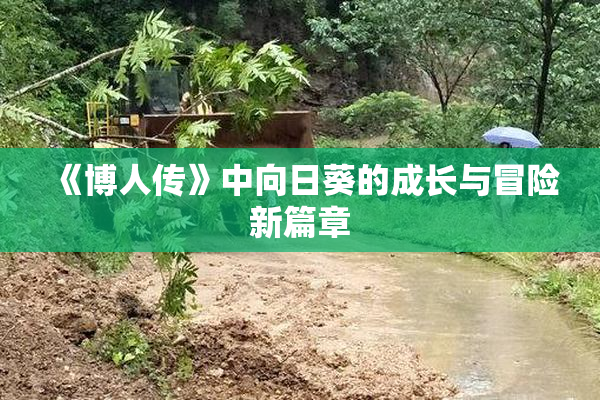 《博人传》中向日葵的成长与冒险新篇章