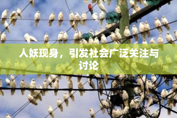 人妖现身，引发社会广泛关注与讨论