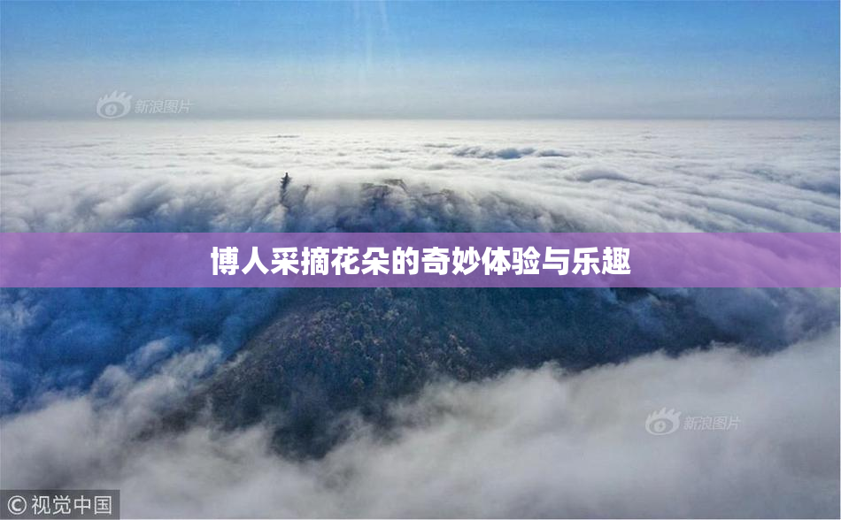 博人采摘花朵的奇妙体验与乐趣